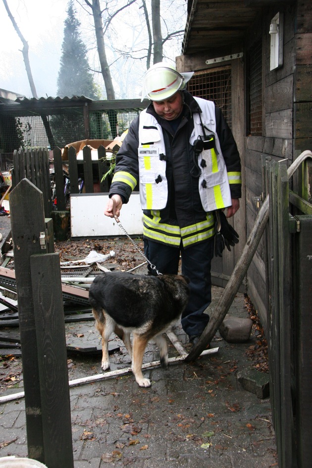 FW-E: Hundezwingeranlage Raub der Flammen, fünf Tiere verendet