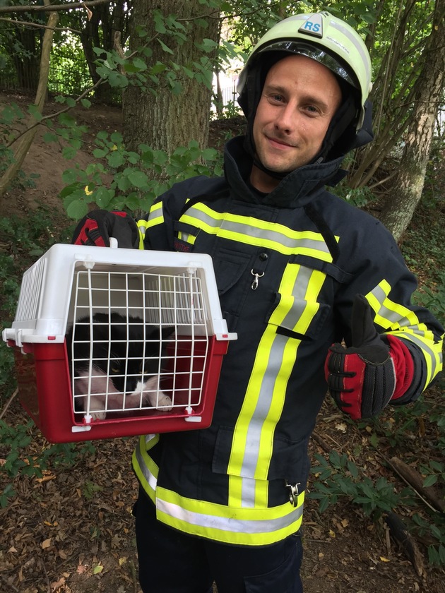 FW-BO: Die Feuerwehr rettete eine junge Katze aus einem Baum, in dem sie schon zwei Tage verweilte.
Anwohner vernahmen ein dauerhaftes Katzengeheul, und alarmierten daraufhin die Feuerwehr.
