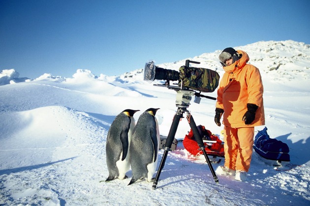 Familienglück bei Minus 40 Grad: &quot;Von Pinguinen und Menschen&quot; auf ProSieben