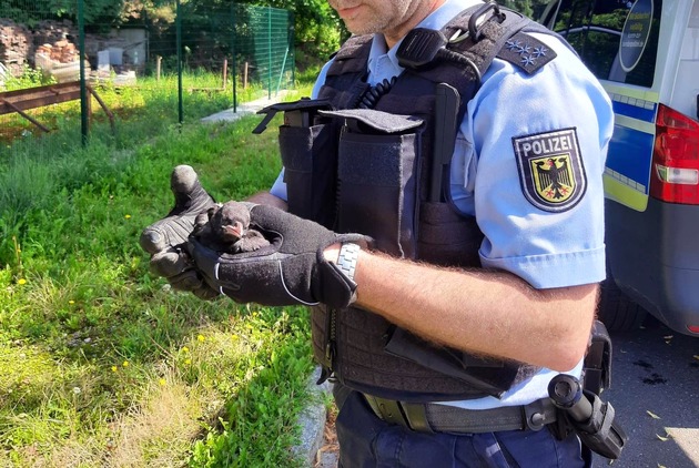 BPOL-HB: Bundespolizisten mit Herz für Tiere in Not