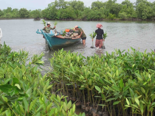 Mangrovenschutz ist Klimaschutz