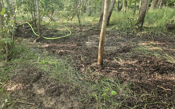 FW-PI: Vegetationsbrand auf der Elbinsel Pagensand - Aufwendiger Einsatz über Wasserwege