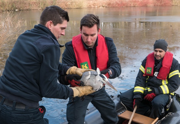 FW-GE: Tierrettung im Revierpark Nienhausen - Feuerwehr rettet verletzten Reiher