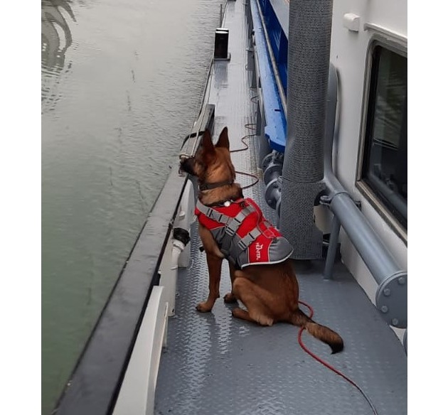 POL-H: Mittellandkanal: Wasserschutzpolizei findet über Bord gegangenen jungen Hund