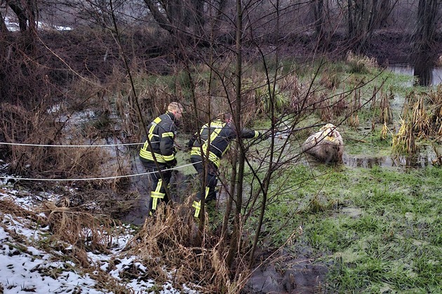 FW-EN: Schaf steckt in Tümpel fest - Tierrettung in Breckerfeld