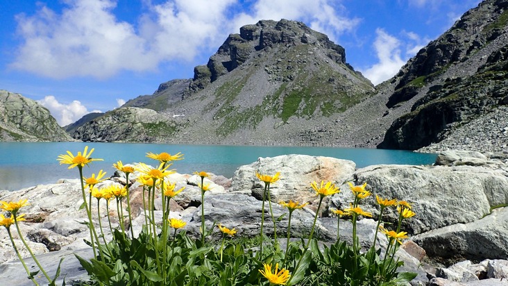 Vollbetrieb am Pizol: Start in einen erlebnisreichen Bergsommer