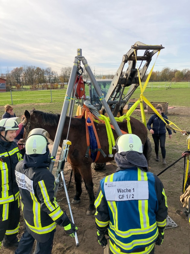 FW-BO: Pferderettung in Sevinghausen
