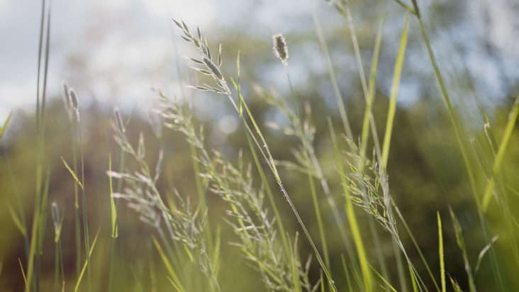 OEKO-TEX® stärkt Engagement für den Schutz  der Biodiversität