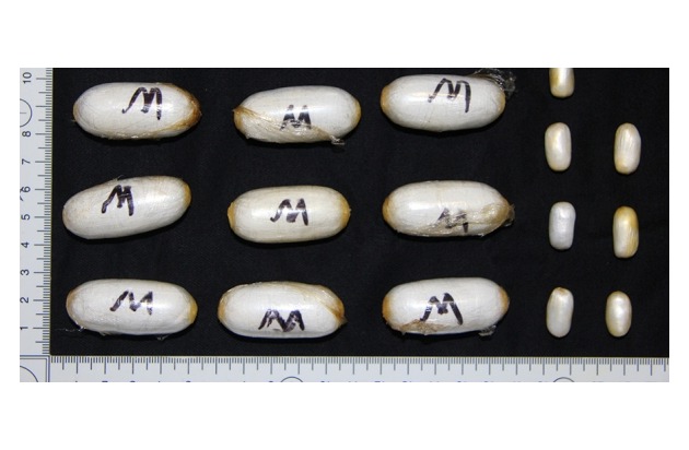 Sucht Schweiz - Drogenmarkt: Kokain und andere Stimulanzien unter der Lupe