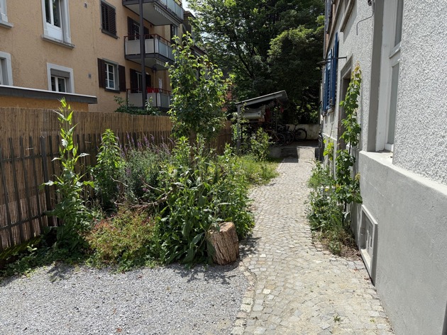 Entsiegeln auf privatem Grund: Neues Angebot im Aargau
