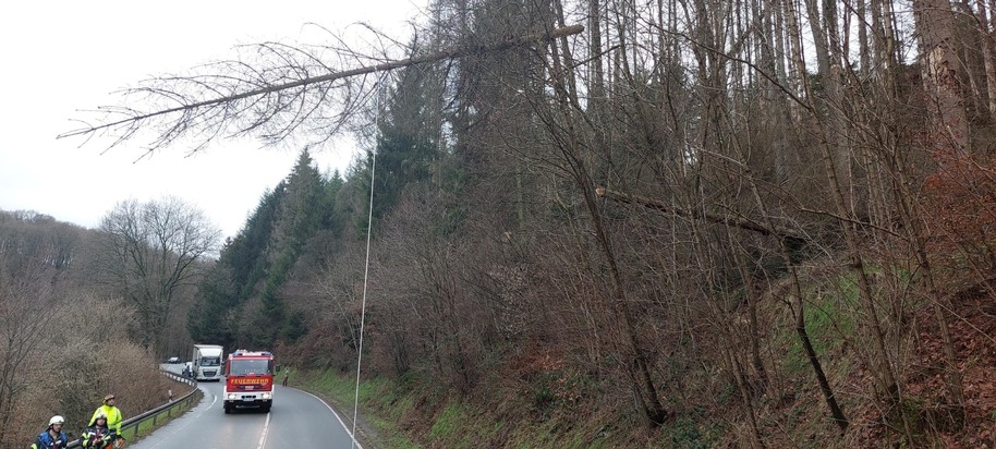 FW-EN: Bäume blockieren Fahrbahn
