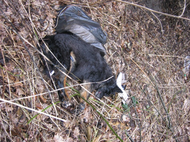 POL-SE: Norderstedt, Ohetwiete  / Polizei sucht Hundebesitzer