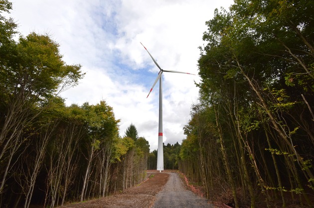 Trianel Erneuerbare Energien baut Windenergie- und PV-Portfolio weiter aus