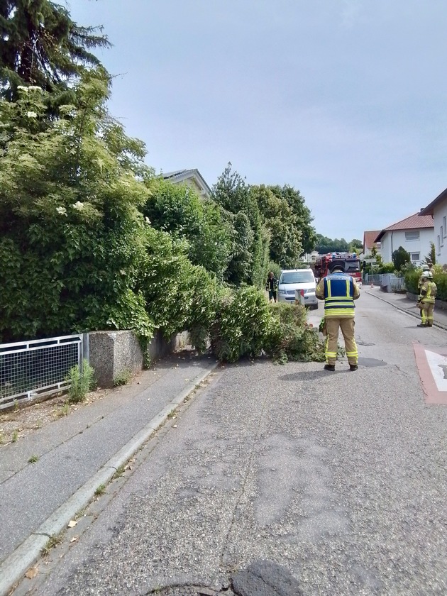 FW Weinheim: Gewitter sorgt für zahlreiche Einsätze der Weinheimer Feuerwehr