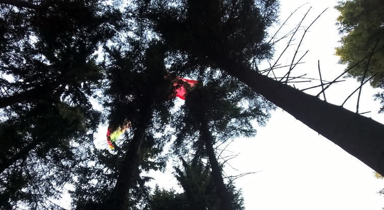 FW-OE: Gleitschirmflieger abgestürzt - Rettung aus Waldgebiet
