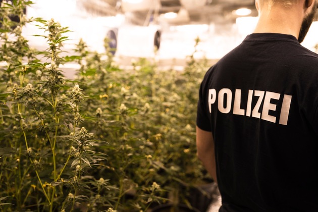 POL-GOE: Ermittlern der Zentralen Kriminalinspektion der Polizeidirektion Göttingen gelingt Schlag gegen Drogennetzwerk