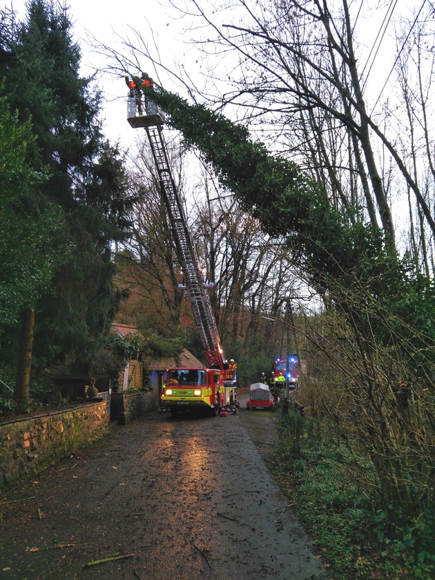 FW-Heiligenhaus: Bäume fielen nach Sturm am Wochenende (Meldung 6/2019)