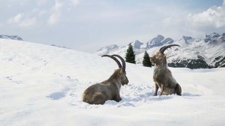 Neue Winterkampagne: Graubünden ist patgific