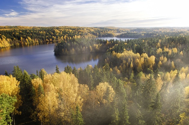 Die schönsten Herbstaktivitäten in Finnland