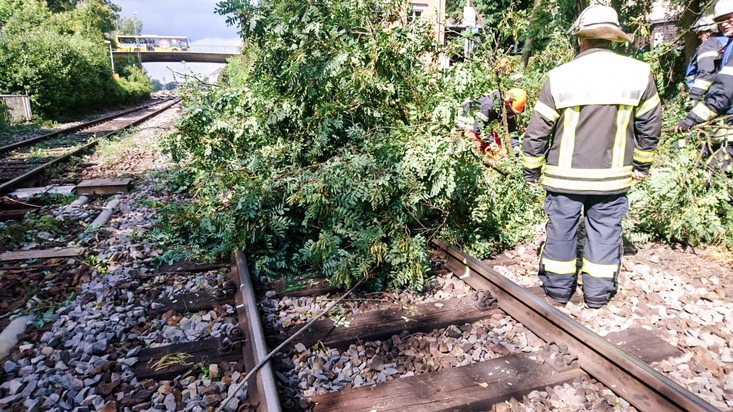 BPOLI-KN: Zug kollidiert mit Baum nahe Bahnhof Ravensburg/ Abschlussmeldung