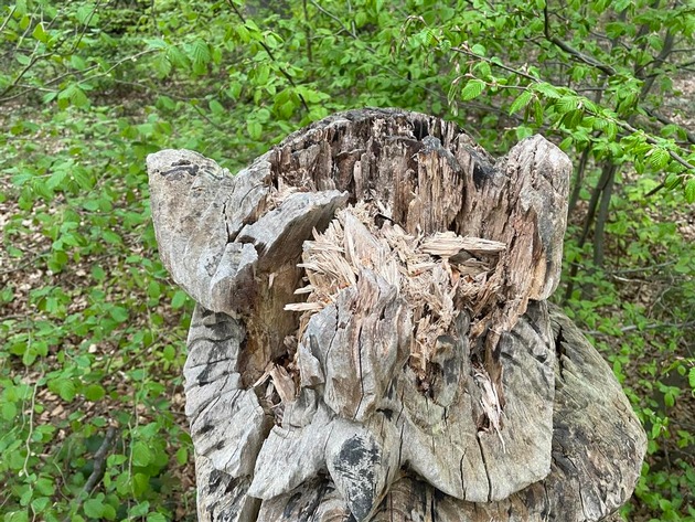 POL-PDNR: Sachbeschädigung an einer Kunstskulptur