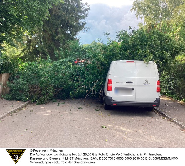 FW-M: Umgestürzter Baum erfordert schweres Gerät (Lochhausen)