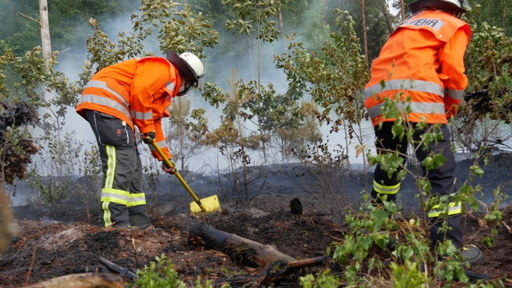 FW Celle: Brandausbreitung in Hochwald verhindert - Feuerwehr Flugdienst im Einsatz