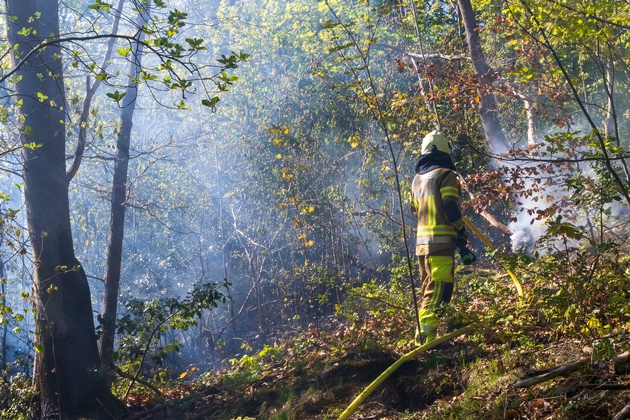FW-MK: Fl&auml;chenbrand am "L&uuml;nkerhohl"