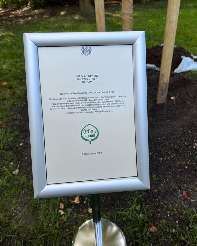 Eine Rosskastanie im Englischen Garten zum Gedenken an Königin Elizabeth II.