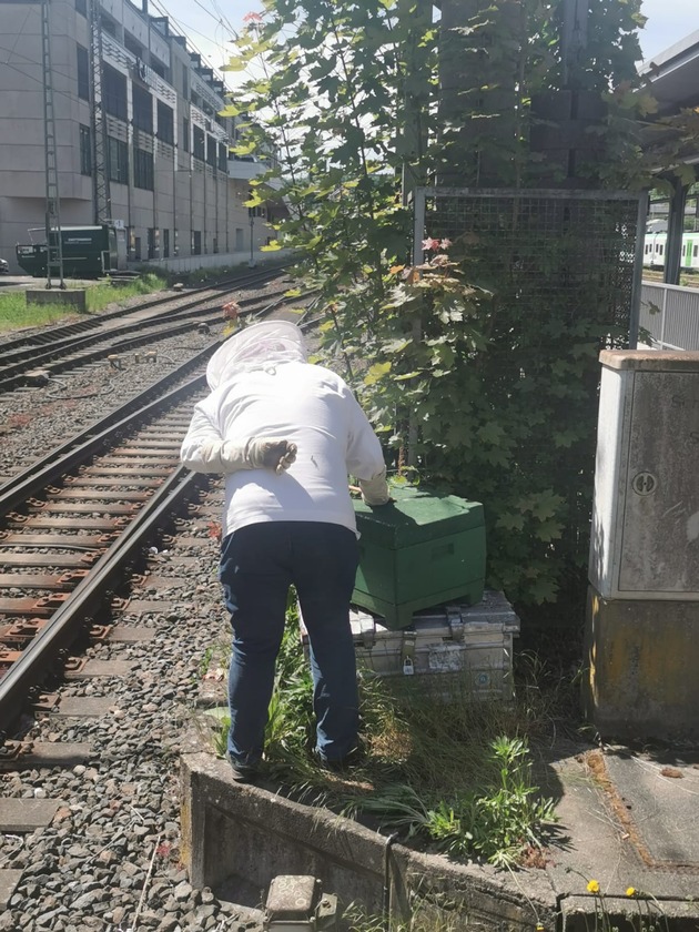 BPOL NRW: Verirrte Bienen lösen Polizeieinsatz am Bahnhof Siegen aus