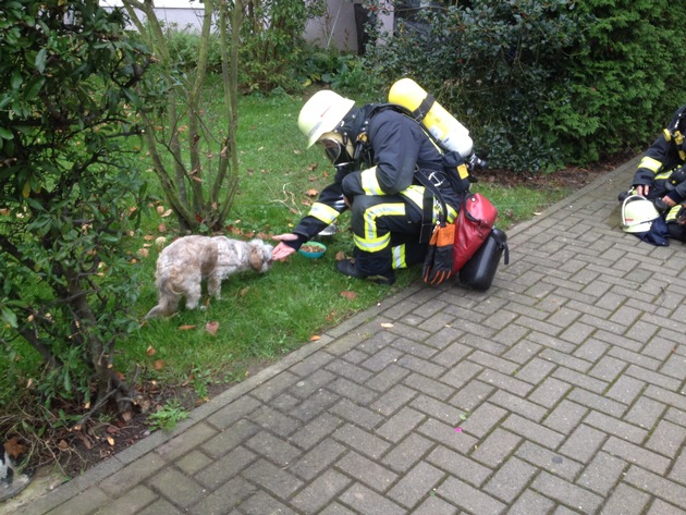 FW-D: Angebranntes Essen: Feuerwehr rettet Hund