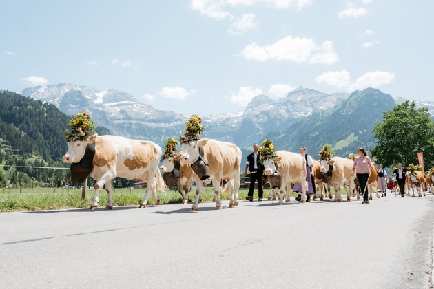 Start in den Alpkultur-Sommer an der Lenk
