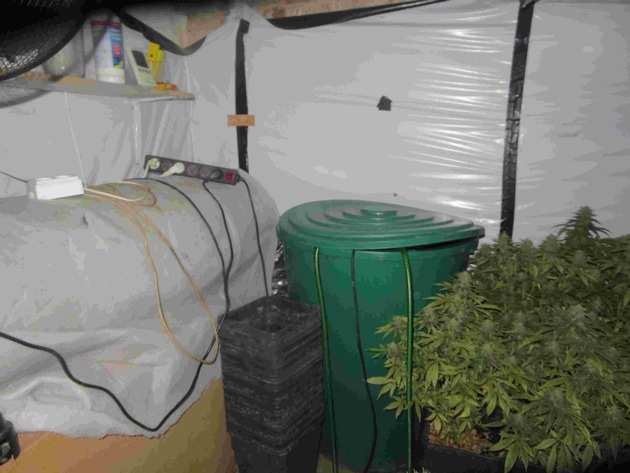 POL-DO: Auffällig hoher Stromverbrauch in Mehrfamilienhaus - Cannabisplantage aufgeflogen