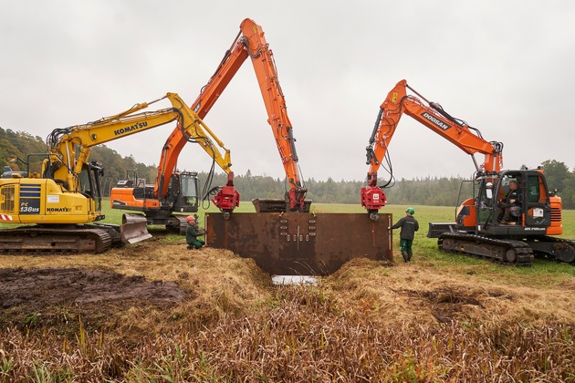 DBU: Mehr Tempo bei der Wiedervernässung – Welttag der Feuchtgebiete am 2. Februar