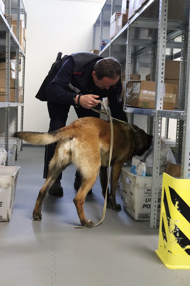 HZA-R: Postkontrolle am Truppenübungsplatz Grafenwöhr: Zoll setzt auf Technik und Spürhunde