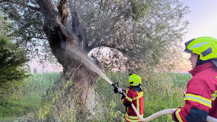 FW Reichenau: Brennender Baum konnte gelöscht werden, 20.06.2024, Reichenau-Mittelzell