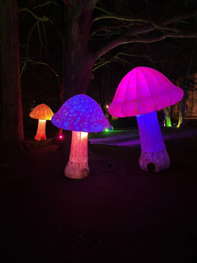 Celle l&auml;dt zum erlebnisreichen Wochenende ein: Lichterfest Nordlichter &amp; verkaufsoffener Sonntag