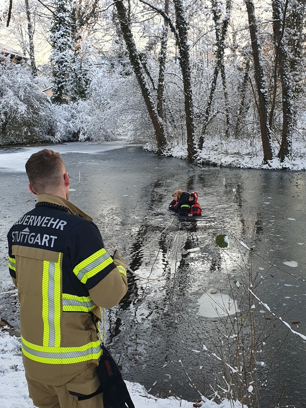 FW Stuttgart: Tierrettung Riedsee - Hund in Eisfläche eingebrochen