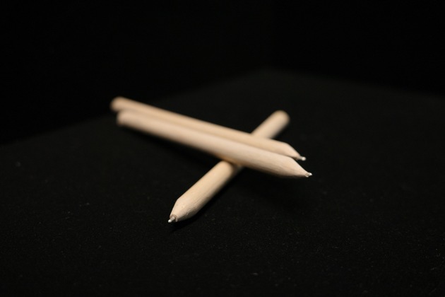 Kanti illustriert K&auml;fer: Ausstellung im Naturmuseum Solothurn