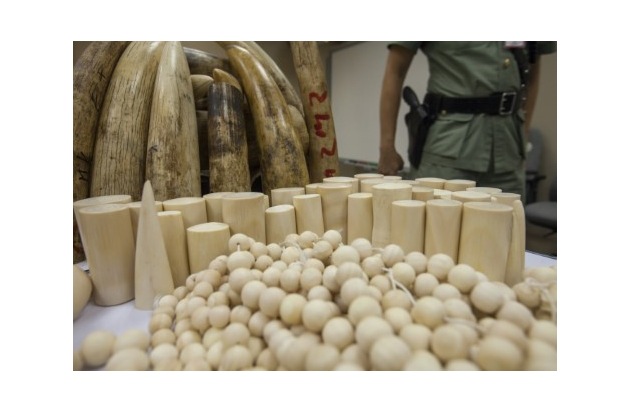 EU Kommissar Vella soll handeln: Über 1,2 Million Menschen fordern Handelsverbot für Elfenbein