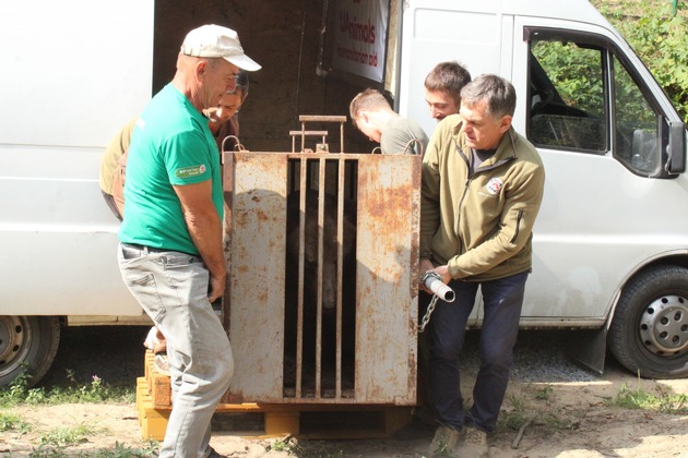Un sauvetage d’urgence en Ukraine : un ours avait été abandonné dans son enclos endommagé