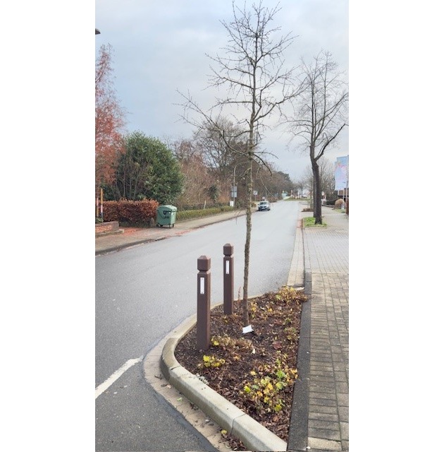 POL-OS: Bad Laer: Kuriose Sachbeschädigung an Verkehrsinselbaum - Zeugen gesucht