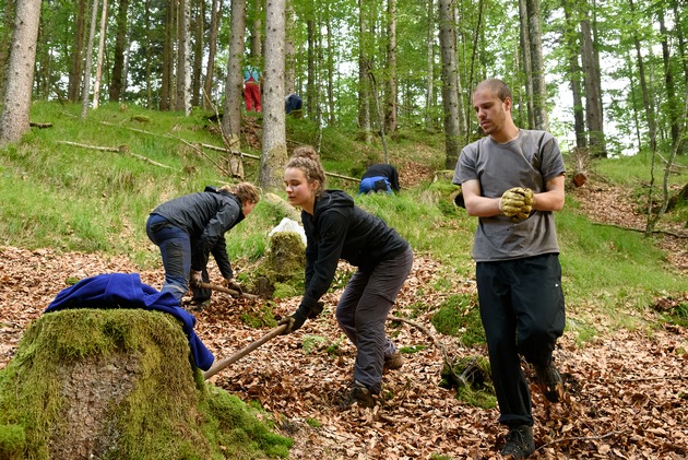 PRESSEMITTEILUNG: Nach monatelanger Corona-Pause: Bergwaldprojekt e.V. mit über 30 Freiwilligen wieder im Einsatz gegen die Folgen des Klimawandels im Schutzwald in Bad Tölz