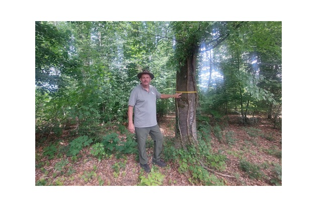 „Der Wald nimmt die Trauer für einen Augenblick“ - 1 Jahr FriedWald Starzach