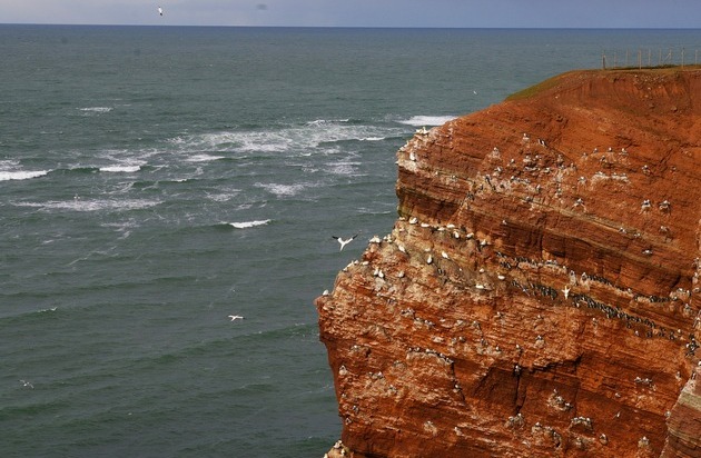 Rickmers Reisen Helgoland GmbH: Steilküste statt Steilpiste / Helgoland als Alternative zum Ski-Urlaub