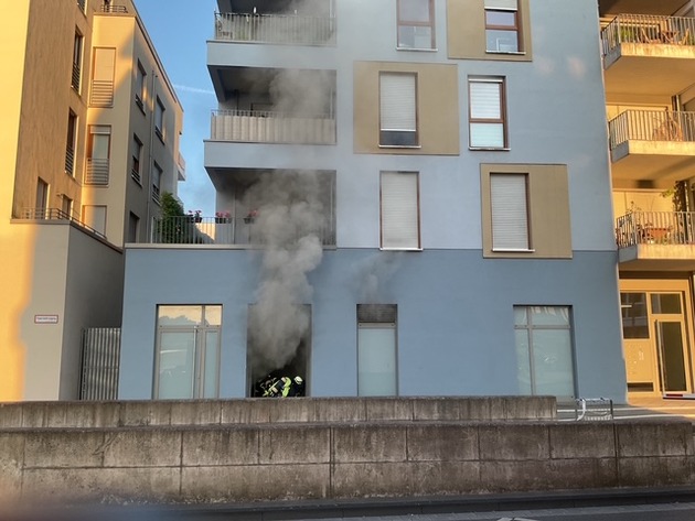 FW-DO: Rauchentwicklung am Phönixsee - Schnelles Eingreifen verhindert Brandausbreitung