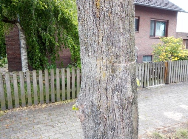 POL-CE: Baum angesägt und schwer beschädigt