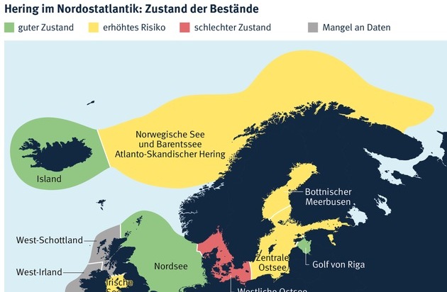 Marine Stewardship Council (MSC): MSC-Studie: Hering in deutschen Supermärkten nur zur Hälfte nachhaltig