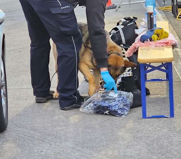 HZA-KA: Zollhund beweist richtigen Riecher / Buskontrolle endet mit Haftbefehl