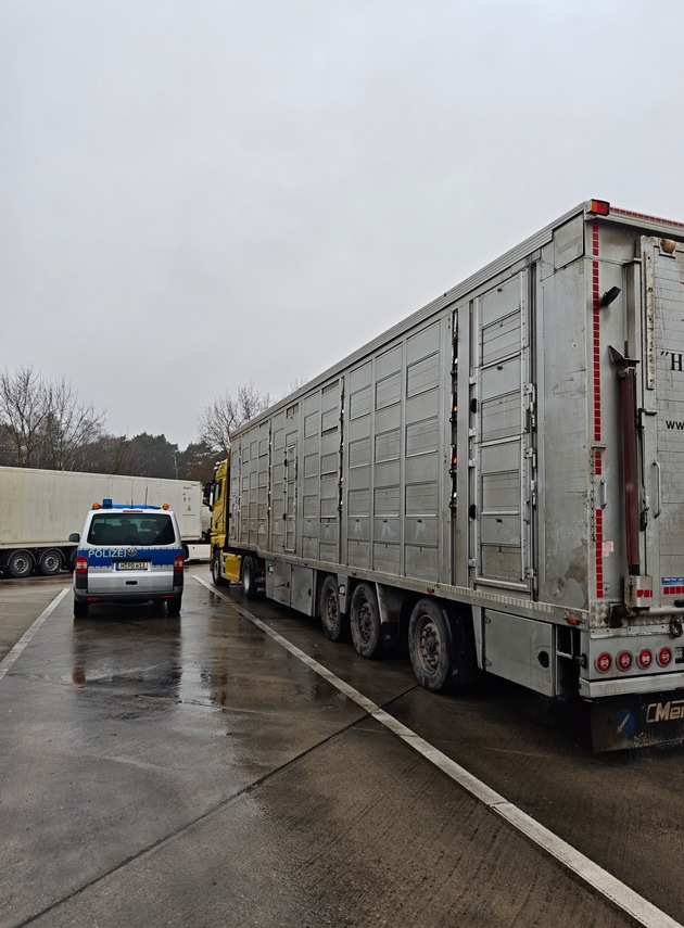 POL-H: Polizei überprüft Tiertransporte auf der Autobahn